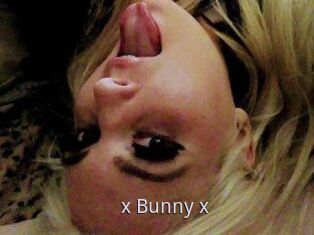 _x_Bunny_x_