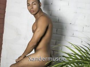 Xandermuscle