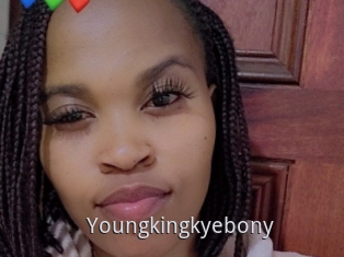Youngkingkyebony