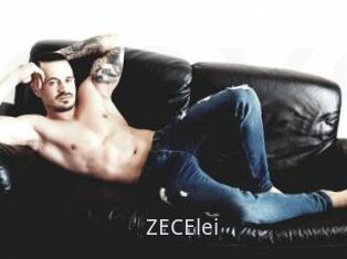 ZECElei