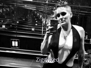 ZiggyRed