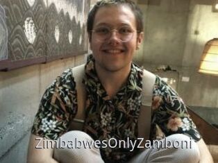 ZimbabwesOnlyZamboni