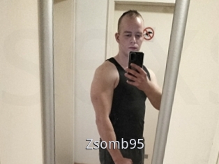 Zsomb95
